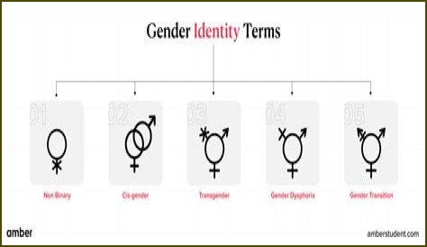 Understanding Gender Identity: The Case Of Brittney Griner's Biological Sex